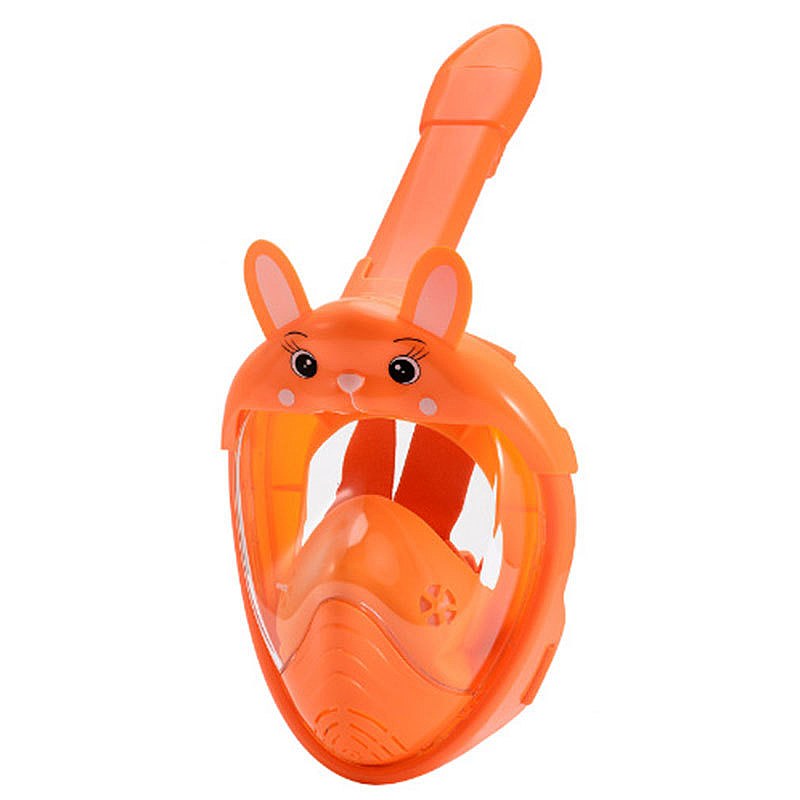 Maschera Subacquea Integrale p - Snorkel Dry Top recensione e prezzo